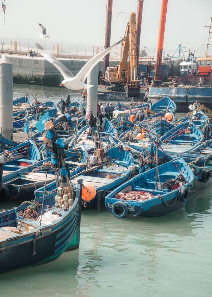 Essaouira_Fishing_Boats