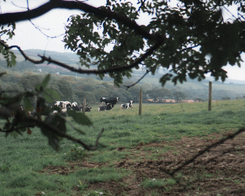 Cornish_Wave_Wild_Camp_Backroad